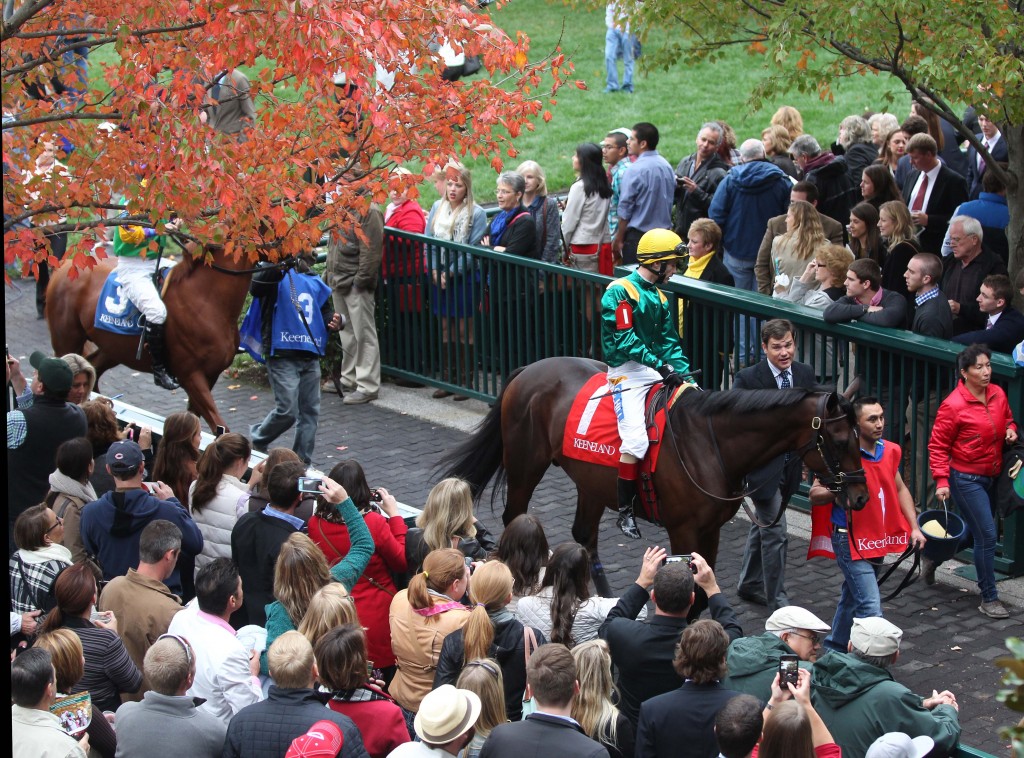 2014 Keeneland Fall Meet Scenics